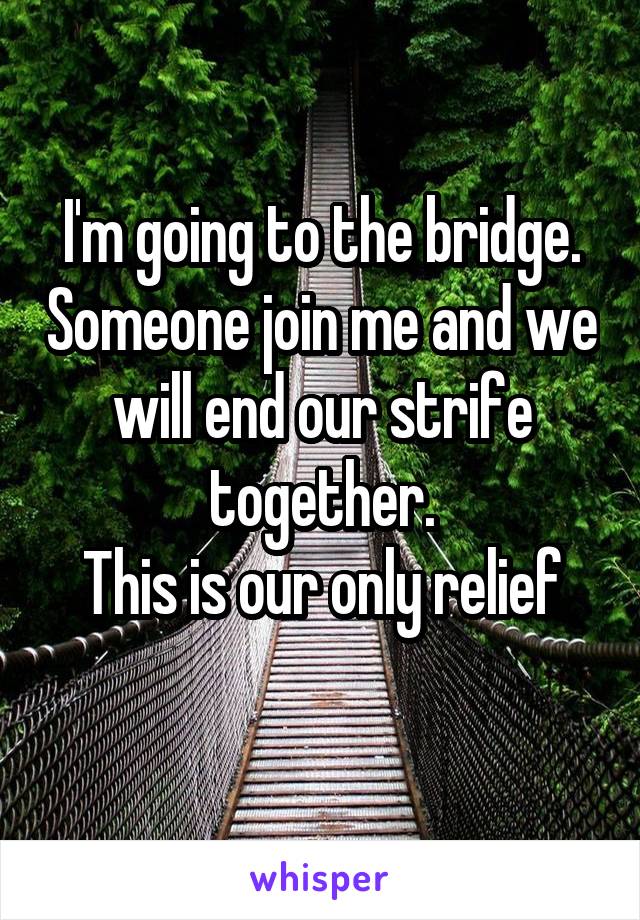 I'm going to the bridge. Someone join me and we will end our strife together.
This is our only relief
