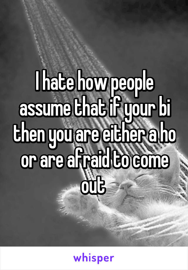 I hate how people assume that if your bi then you are either a ho or are afraid to come out 