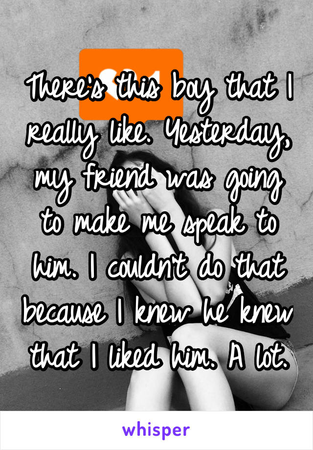 There's this boy that I really like. Yesterday, my friend was going to make me speak to him. I couldn't do that because I knew he knew that I liked him. A lot.