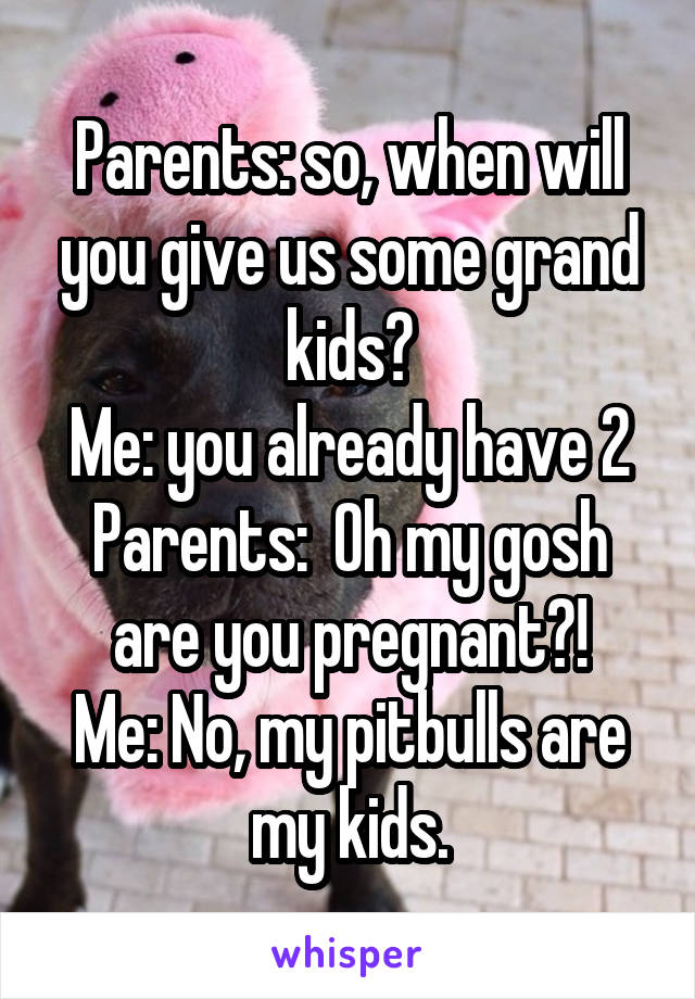 Parents: so, when will you give us some grand kids?
Me: you already have 2
Parents:  Oh my gosh are you pregnant?!
Me: No, my pitbulls are my kids.