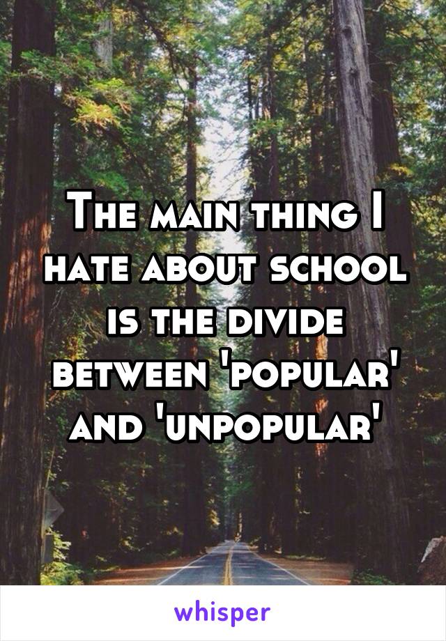 The main thing I hate about school is the divide between 'popular' and 'unpopular'