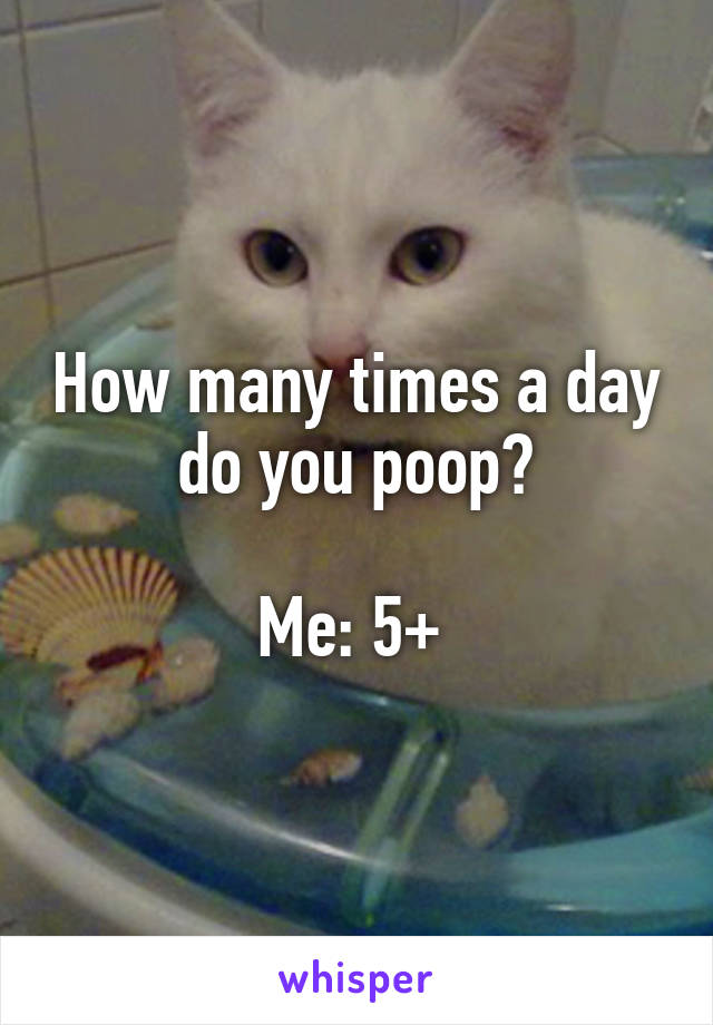 How many times a day do you poop?

Me: 5+ 