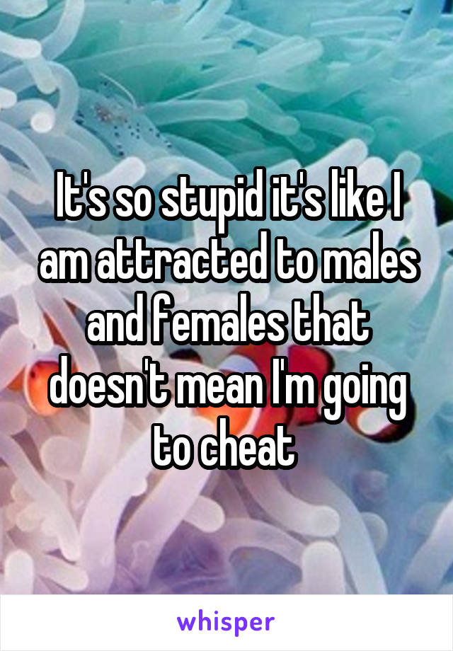 It's so stupid it's like I am attracted to males and females that doesn't mean I'm going to cheat 