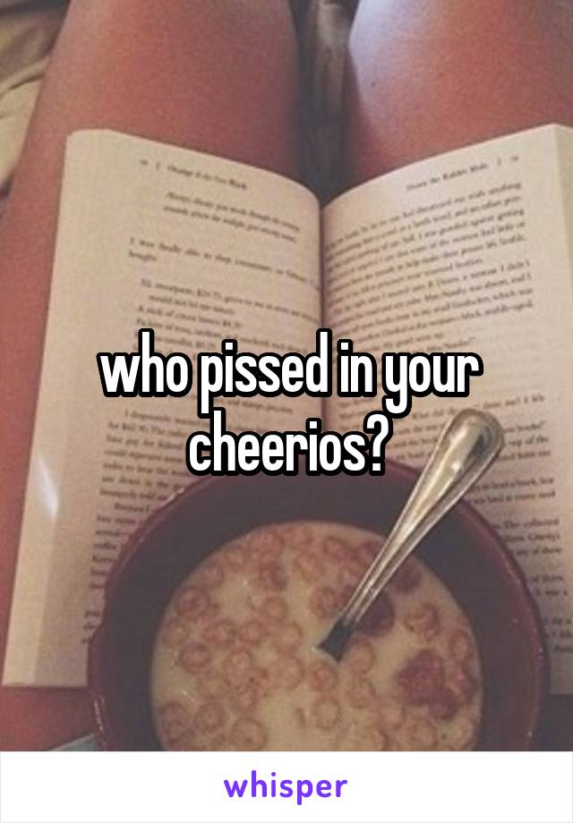 who pissed in your cheerios?