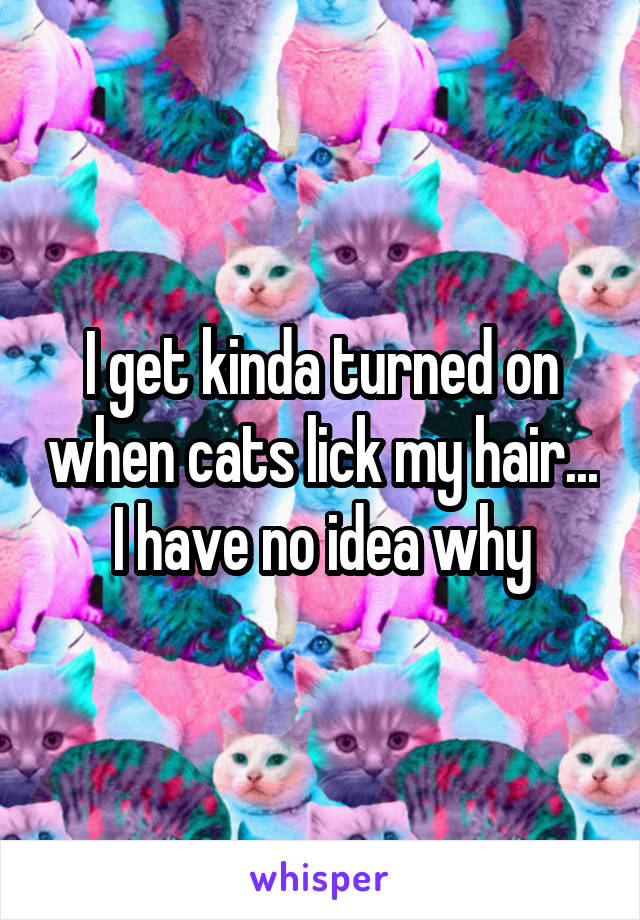 I get kinda turned on when cats lick my hair... I have no idea why