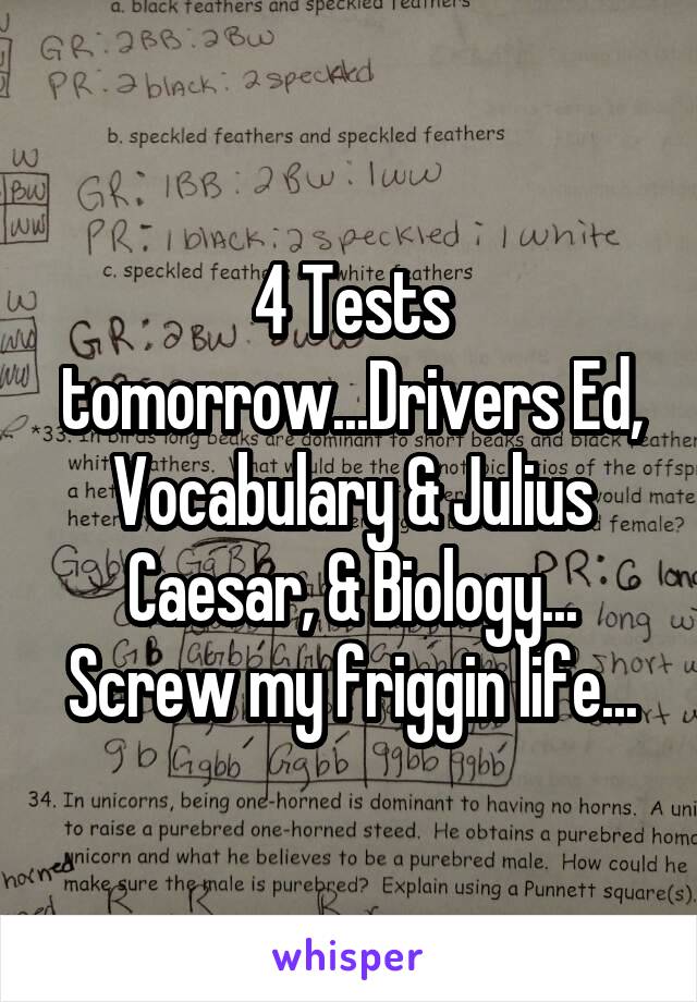 4 Tests tomorrow...Drivers Ed, Vocabulary & Julius Caesar, & Biology... Screw my friggin life...