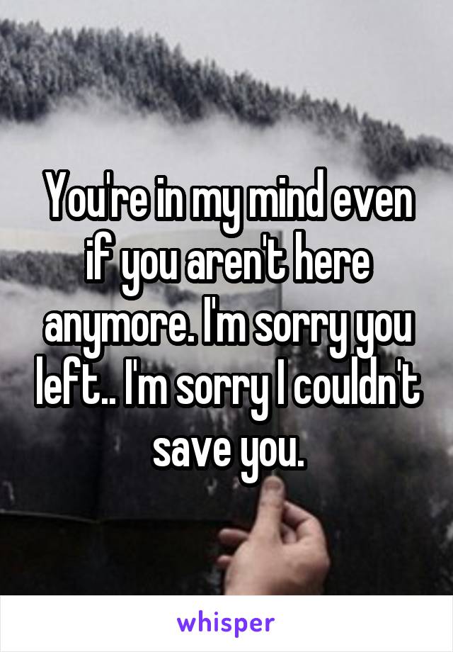 You're in my mind even if you aren't here anymore. I'm sorry you left.. I'm sorry I couldn't save you.