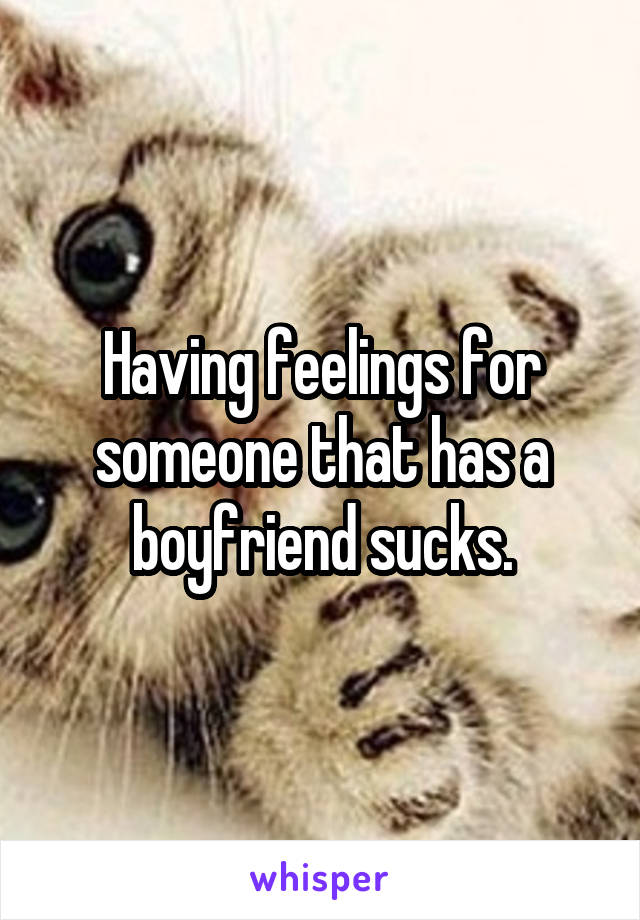 Having feelings for someone that has a boyfriend sucks.