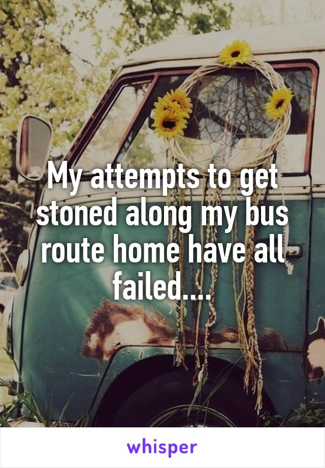 My attempts to get stoned along my bus route home have all failed....