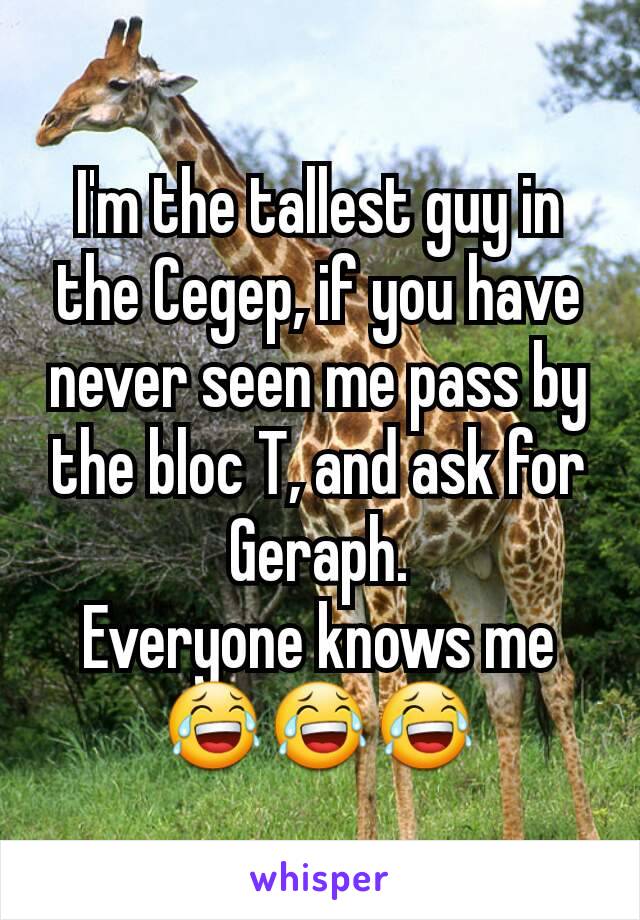 I'm the tallest guy in the Cegep, if you have never seen me pass by the bloc T, and ask for Geraph.
Everyone knows me 😂😂😂