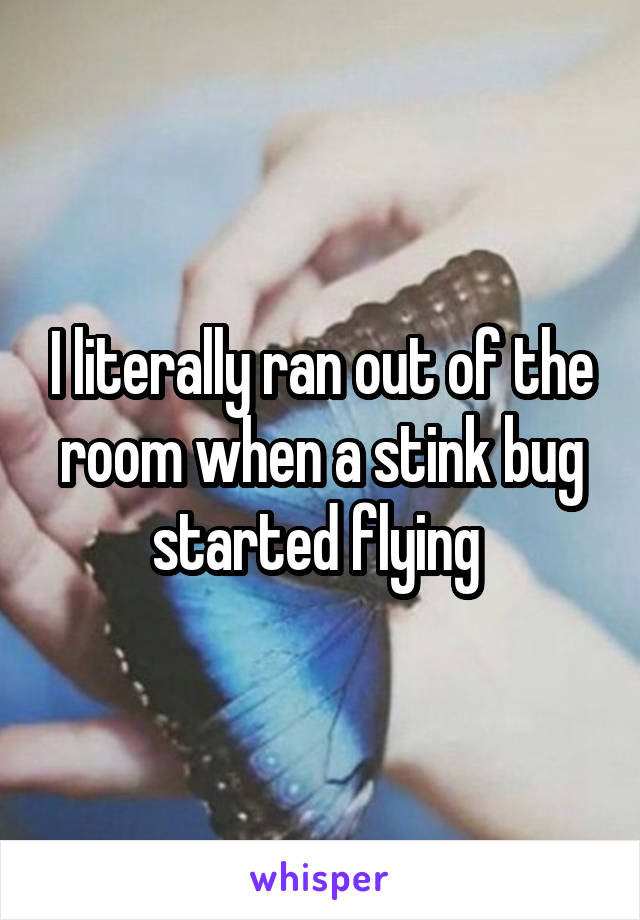 I literally ran out of the room when a stink bug started flying 
