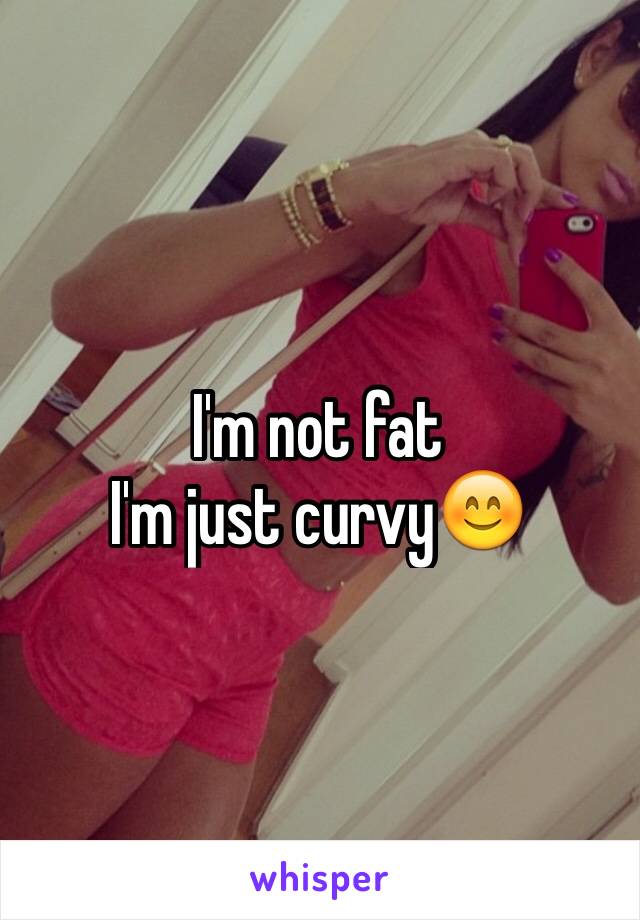 I'm not fat 
I'm just curvy😊