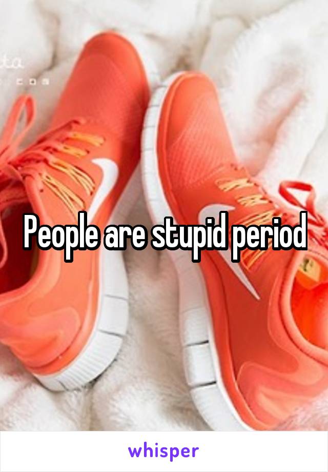 People are stupid period