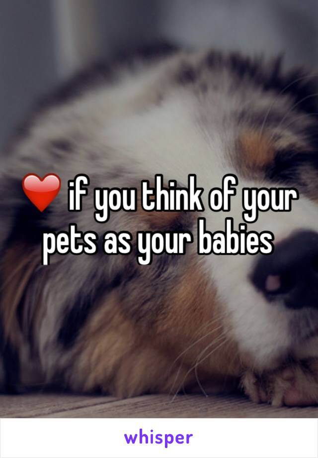 ❤️ if you think of your pets as your babies 