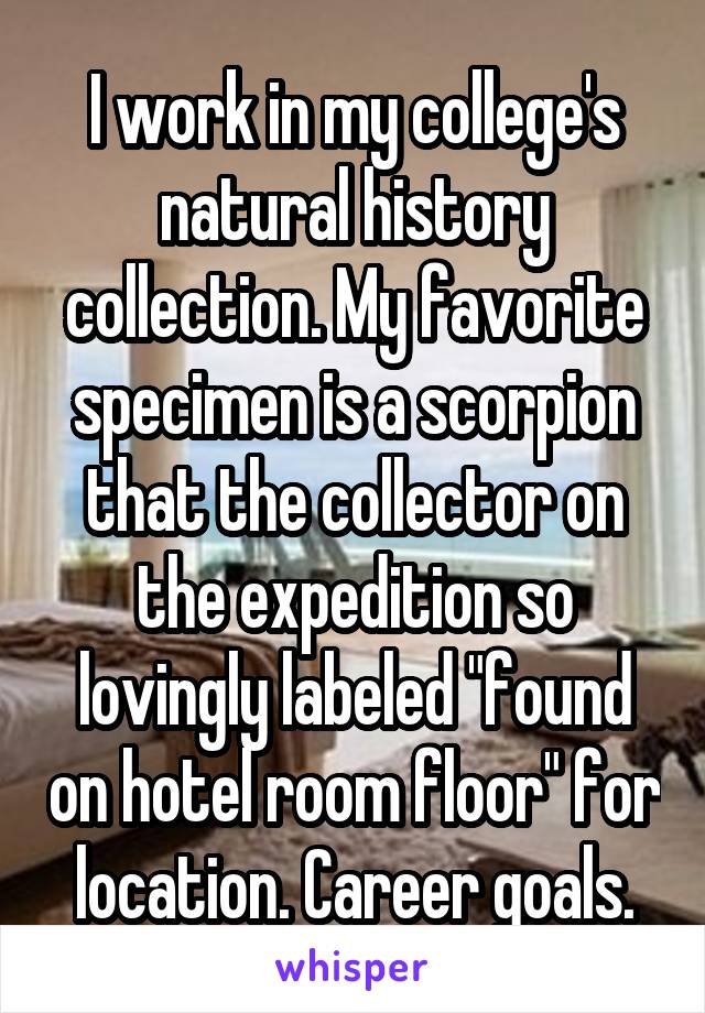 I work in my college's natural history collection. My favorite specimen is a scorpion that the collector on the expedition so lovingly labeled "found on hotel room floor" for location. Career goals.