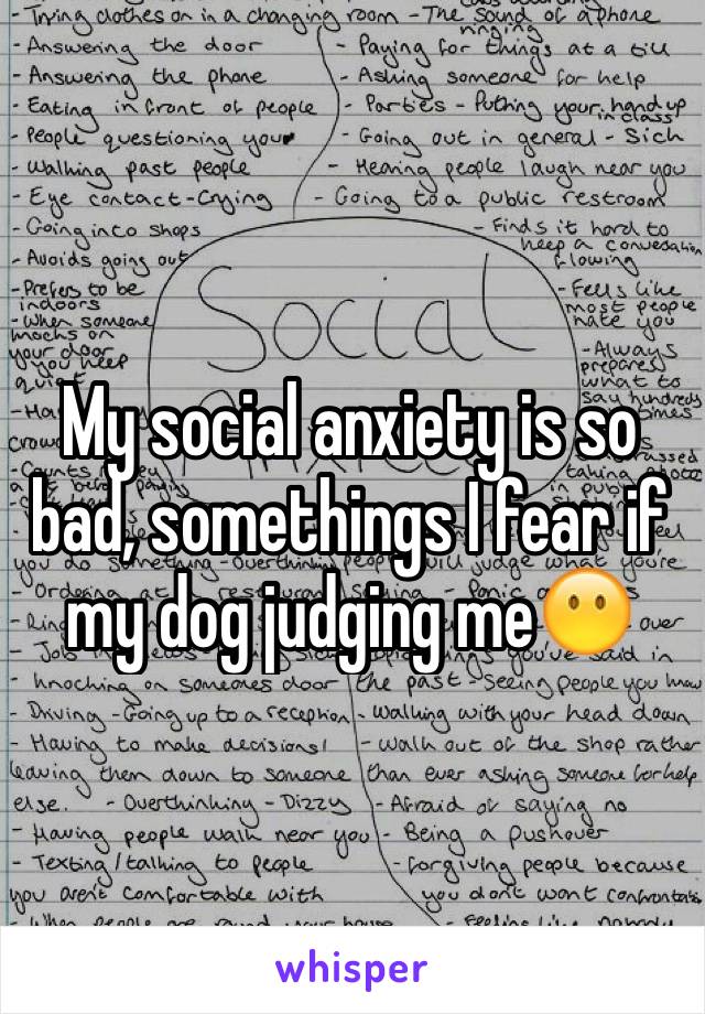 My social anxiety is so bad, somethings I fear if my dog judging me😶