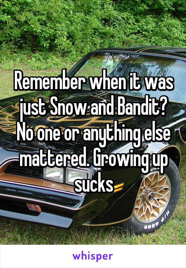 Remember when it was just Snow and Bandit? No one or anything else mattered. Growing up sucks