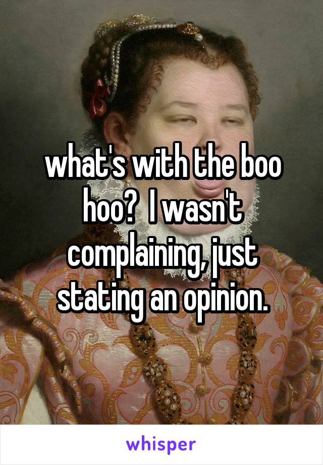 what's with the boo hoo?  I wasn't complaining, just stating an opinion.