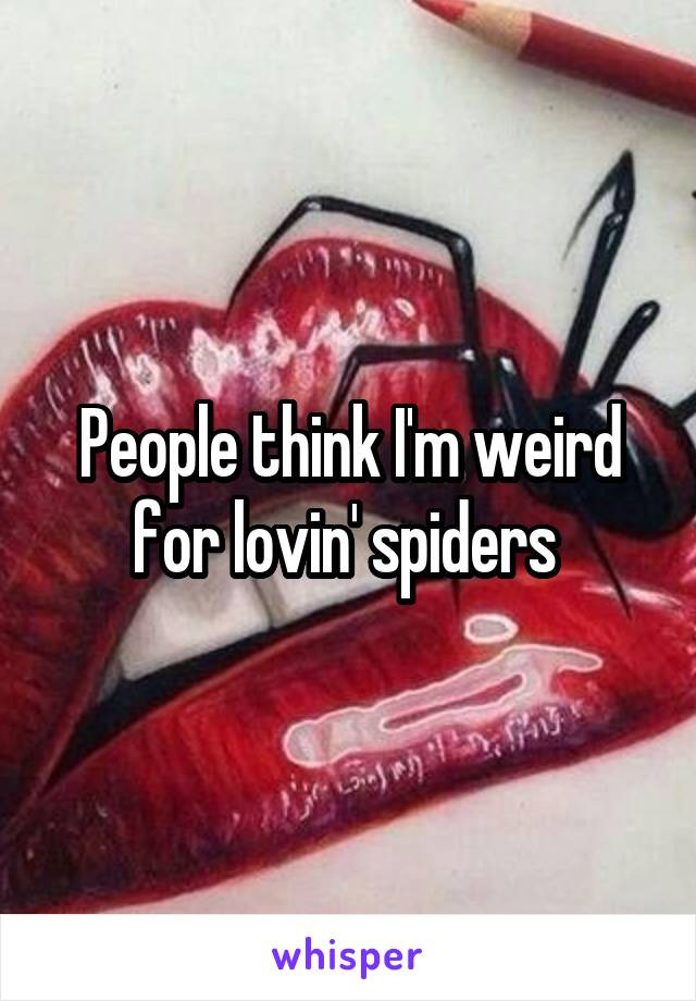 People think I'm weird for lovin' spiders 