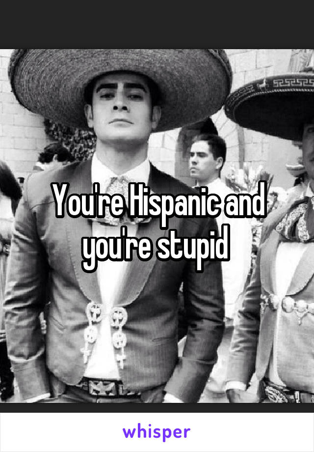 You're Hispanic and you're stupid 