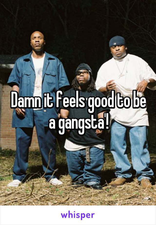 Damn it feels good to be a gangsta'!