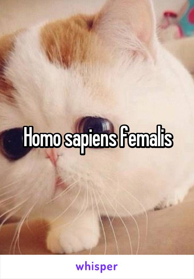 Homo sapiens femalis