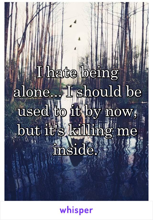 I hate being alone... I should be used to it by now, but it's killing me inside. 