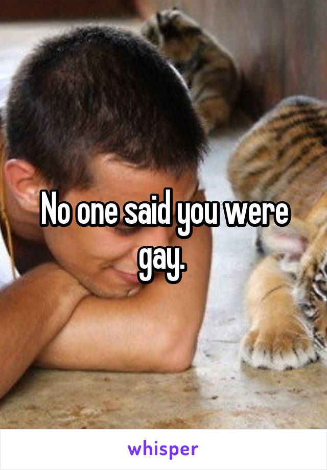 No one said you were gay. 