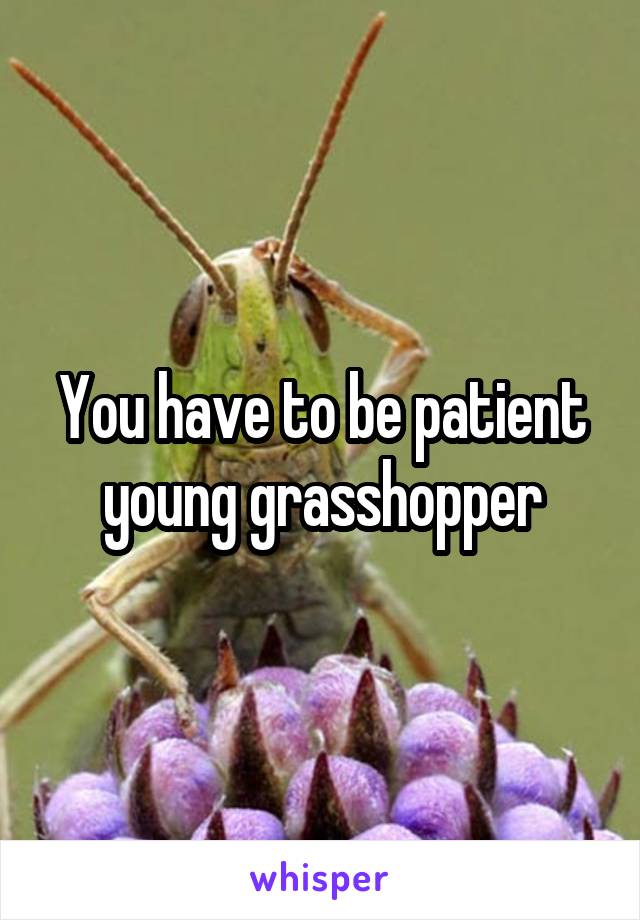 You have to be patient young grasshopper