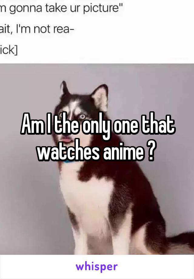 Am I the only one that watches anime ? 