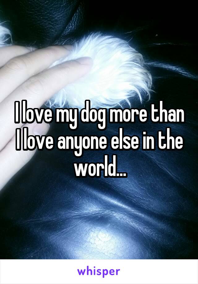 I love my dog more than I love anyone else in the world...