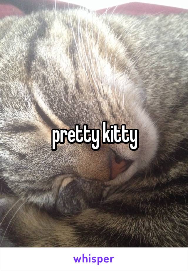 pretty kitty