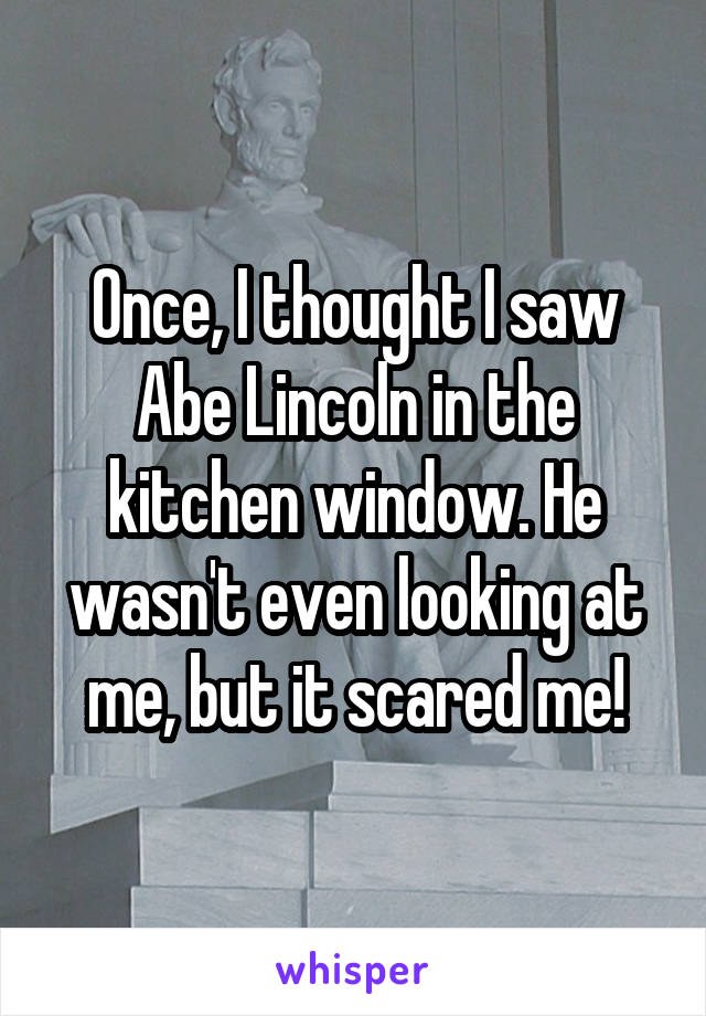 Once, I thought I saw Abe Lincoln in the kitchen window. He wasn't even looking at me, but it scared me!