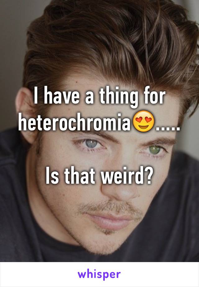 I have a thing for heterochromia😍.....

Is that weird?