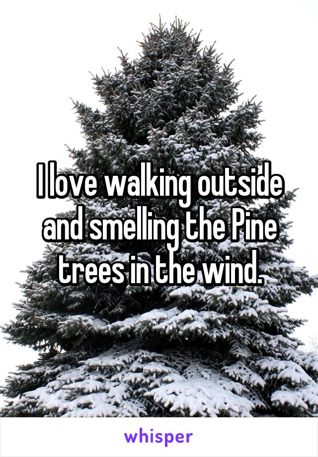 I love walking outside and smelling the Pine trees in the wind.