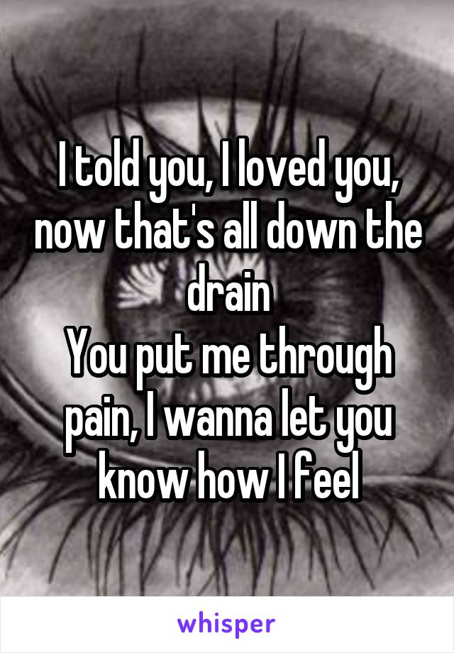 I told you, I loved you, now that's all down the drain
You put me through pain, I wanna let you know how I feel