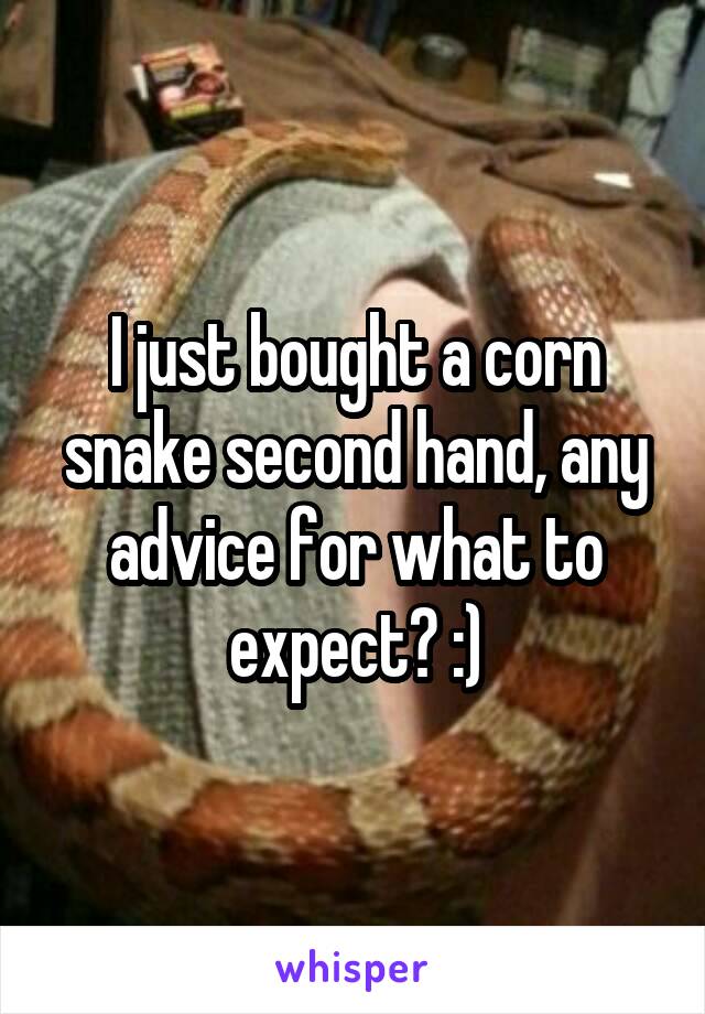 I just bought a corn snake second hand, any advice for what to expect? :)