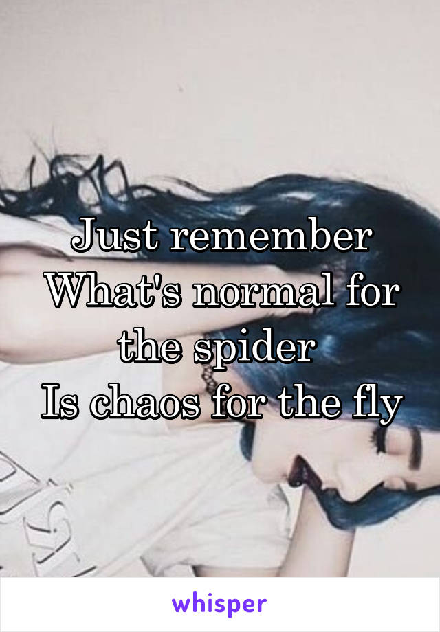 Just remember
What's normal for the spider 
Is chaos for the fly