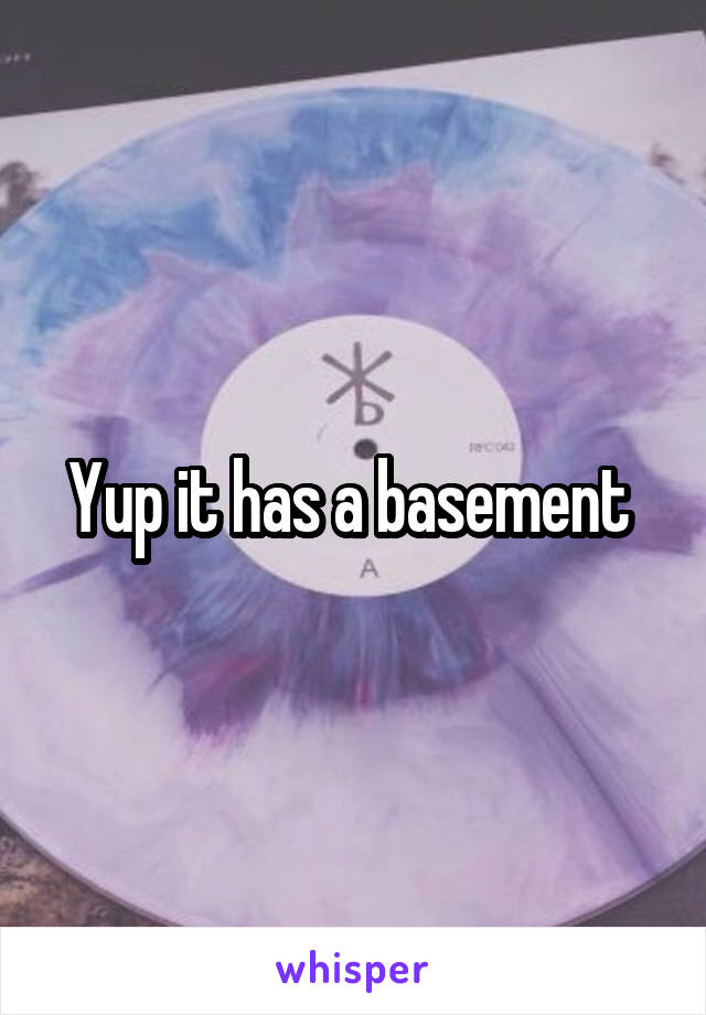 Yup it has a basement 