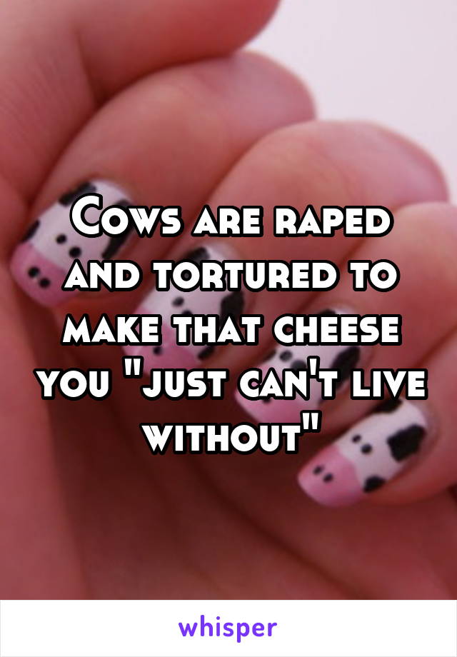 Cows are raped and tortured to make that cheese you "just can't live without"