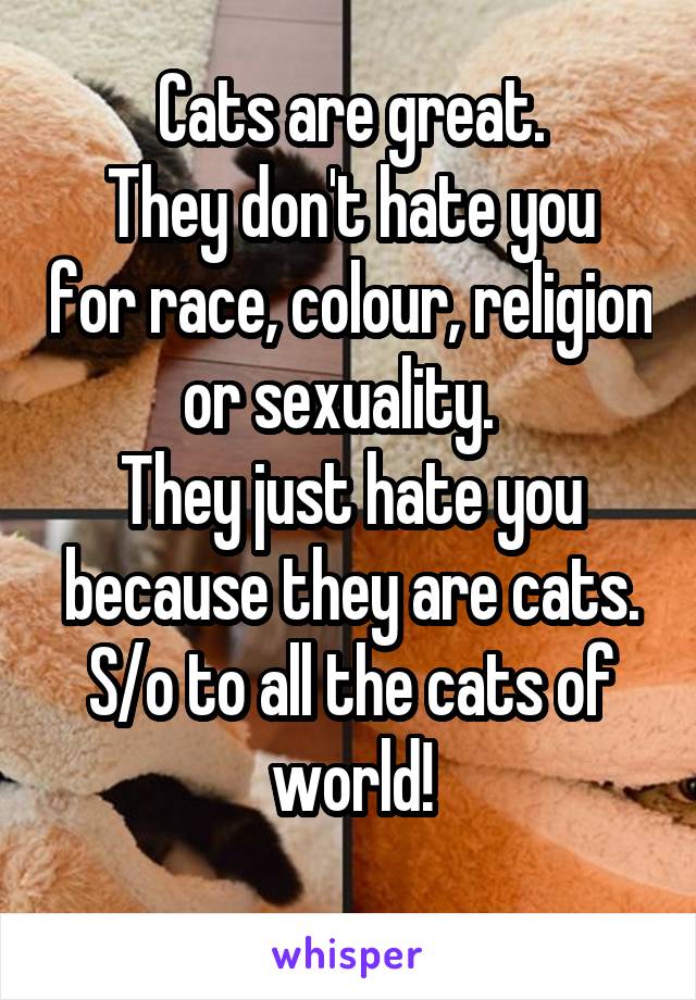 Cats are great.
They don't hate you for race, colour, religion or sexuality.  
They just hate you because they are cats.
S/o to all the cats of world!
