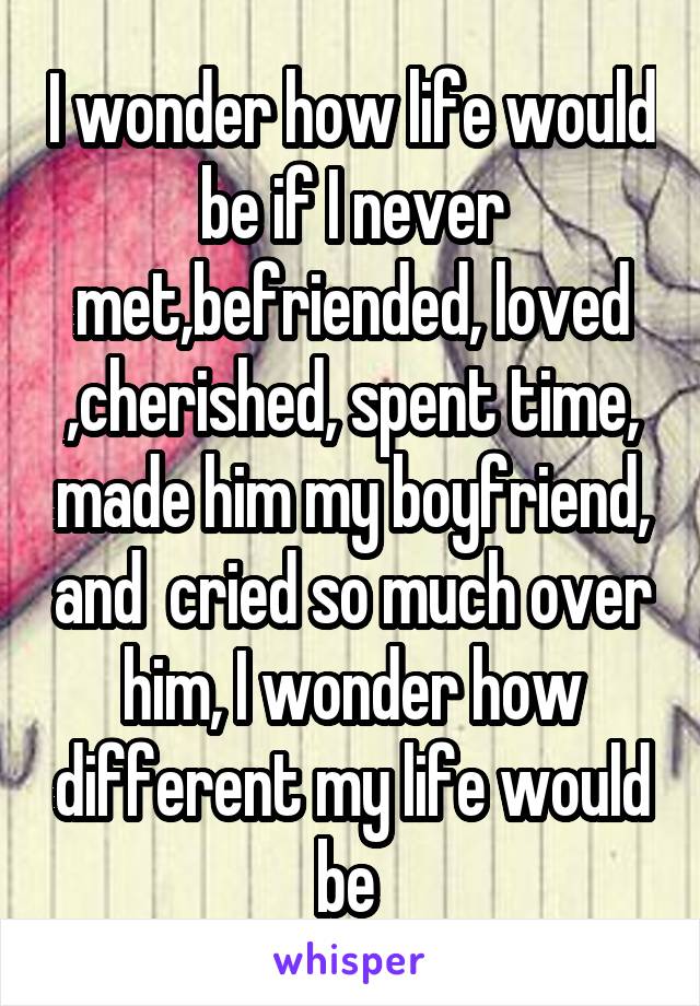 I wonder how life would be if I never met,befriended, loved ,cherished, spent time, made him my boyfriend, and  cried so much over him, I wonder how different my life would be 