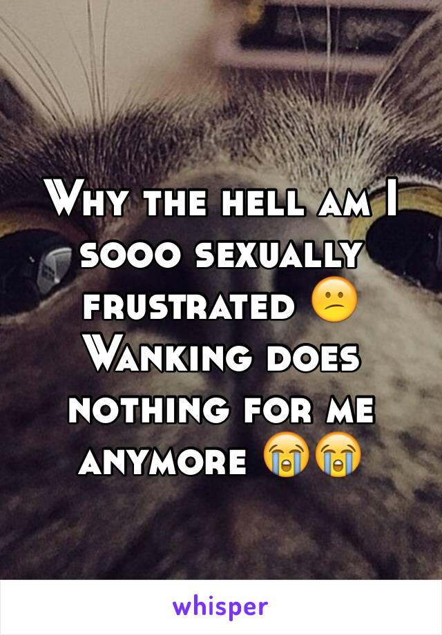 Why the hell am I sooo sexually frustrated 😕
Wanking does nothing for me anymore 😭😭