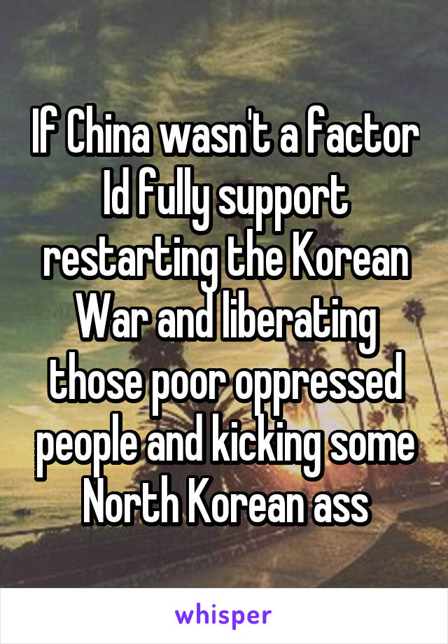 If China wasn't a factor Id fully support restarting the Korean War and liberating those poor oppressed people and kicking some North Korean ass