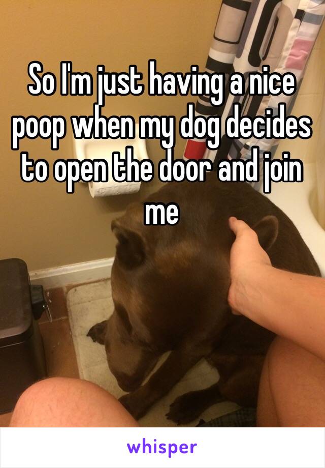 So I'm just having a nice poop when my dog decides to open the door and join me