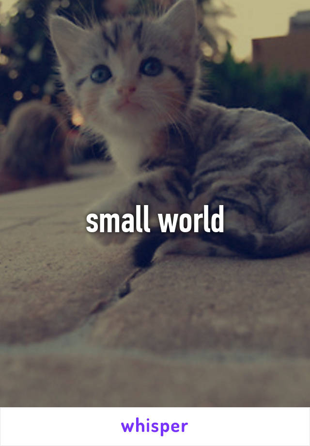 small world