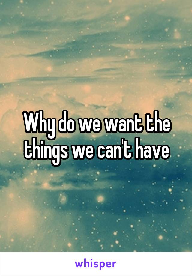 Why do we want the things we can't have