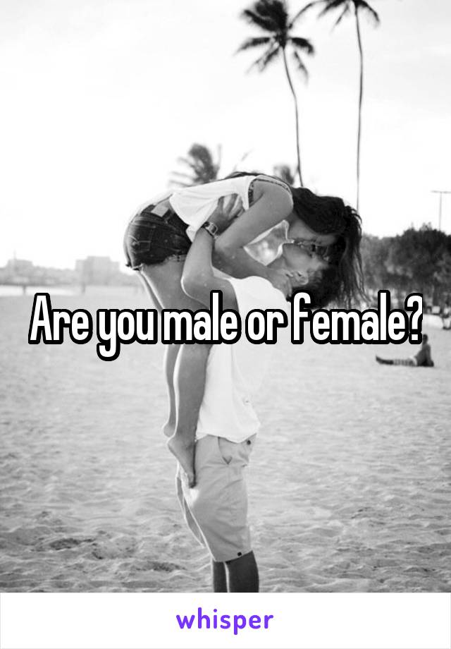 Are you male or female?