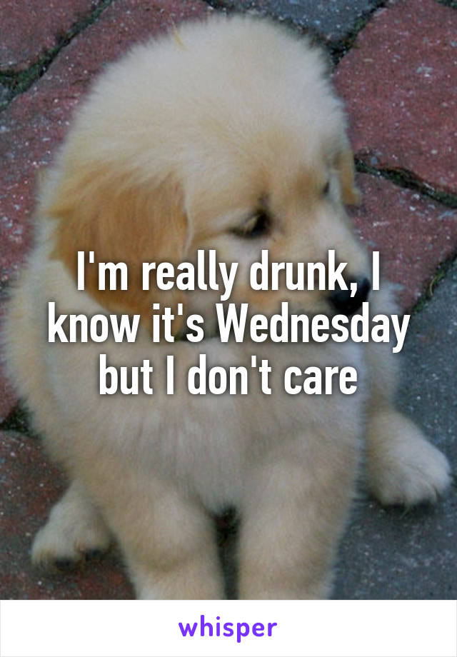 I'm really drunk, I know it's Wednesday but I don't care