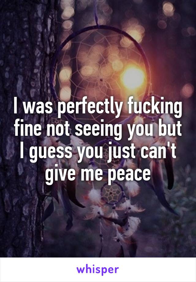 I was perfectly fucking fine not seeing you but I guess you just can't give me peace